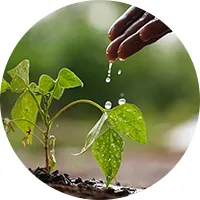 Conservação Ambiental